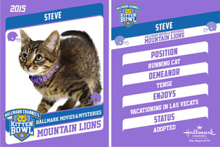 Illustration for article titled Puppy Bowl, Fish Bowl, Kitten Bowl: Counterprogramming The Super Bowl